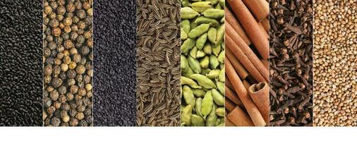 Indian spices and herbs as background photo