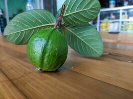 A psidium guajava fruit. Also called as the common guava, yellow guava, lemon guava, or apple guava photo