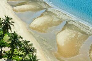 Coconut trees on the beach and the sea. photo