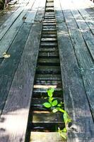 madera puente con verde malas hierbas. foto