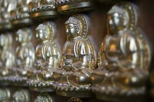 Buddha on the wall at the Chinese temple in Thailand. photo