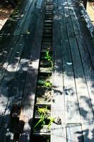 madera puente con verde malas hierbas. foto