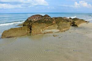 rocas en la playa. foto