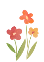 Aquarell modisch minimalistisch Blumen- einstellen mit Rot, orange, Gelb Blumen. Sammlung von einfach süß Pflanzen auf transparent Hintergrund. zum Hochzeit Einladung, speichern das Datum, danken Du, Gruß Karte png