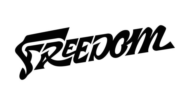 typography with text freedom on white background vector