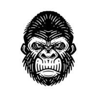 gorilla head illustration, isolated image, on a white background vector