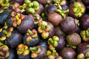 Several mangosteens for eating photo