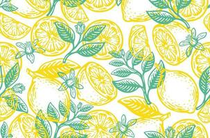 Seamless summer pattern with slices and whole lemons. vector