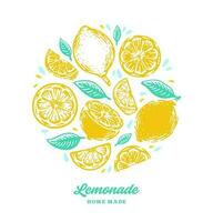 Hand drawn lemon, lemon slice, speech bubble with circle shaped vector