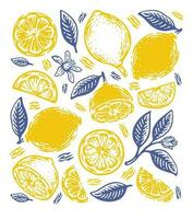 Single Pattern of doodle hand drawn lemon. vector