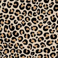 seamless pattern of leopard skin in hand drawing style illustration vector