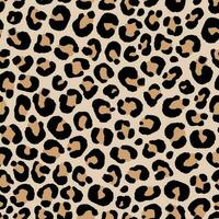 seamless pattern of leopard skin in hand drawing style illustration vector