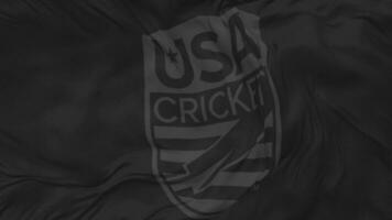 United States National Cricket Team, USACA Flag Seamless Looping Background, Looped Plain and Bump Texture Cloth Waving Slow Motion, 3D Rendering video