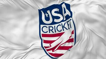 United States National Cricket Team, USACA Flag Seamless Looping Background, Looped Plain and Bump Texture Cloth Waving Slow Motion, 3D Rendering video