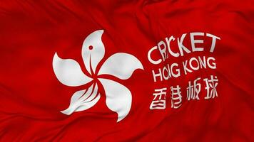 Cricket Hong Kong Flag Seamless Looping Background, Looped Plain and Bump Texture Cloth Waving Slow Motion, 3D Rendering video