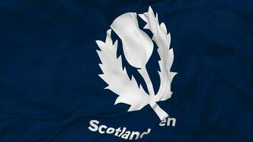 Scotland National Cricket Team, Cricket Scotland Flag Seamless Looping Background, Looped Plain and Bump Texture Cloth Waving Slow Motion, 3D Rendering video