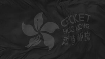 Cricket Hong Kong Flag Seamless Looping Background, Looped Plain and Bump Texture Cloth Waving Slow Motion, 3D Rendering video