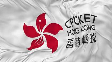 Cricket Hong Kong Flag Seamless Looping Background, Looped Plain and Bump Texture Cloth Waving Slow Motion, 3D Rendering video