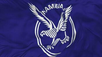 Namibia National Cricket Team, Eagles Flag Seamless Looping Background, Looped Plain and Bump Texture Cloth Waving Slow Motion, 3D Rendering video