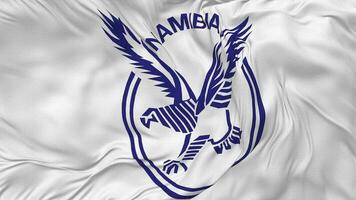 namibia nationell cricket team, eagles flagga sömlös looping bakgrund, looped enkel och stöta textur trasa vinka långsam rörelse, 3d tolkning video