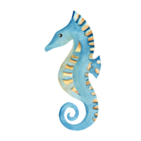 Watercolor hand drawn seahorse. Marine underwater design element for card, poster, print. Summer sea clipart. png