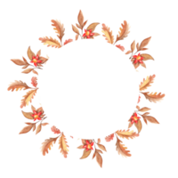 Watercolor autumn circle forest frame with oak leaves, branches and red berries. Hand drawn botanical illustration. Can be used for logo design, as invitation card for birthday, anniversary. png