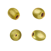 Green olives set. Watercolor hand drawn botanical illustration. Can be used for menu, product package and food design png