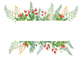 Watercolor floral horizontal frame. Cloudberry leaves and berries, fern, green branches, yellow wildflowers, red berries. Can be used for greeting cards, baby shower, banners, blog templates, logos png
