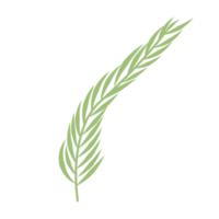 grünes Palmblatt png
