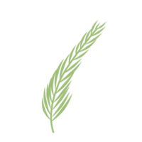 groen palmblad png