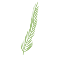groen palmblad png