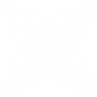 Line Flower white color png