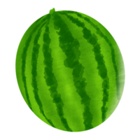 watermelon fruit painting png