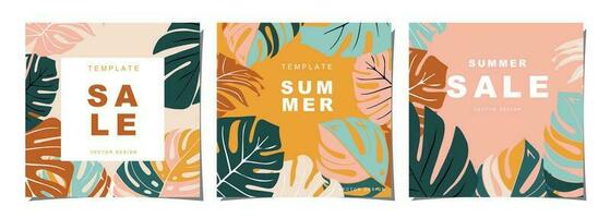 Summer template set for poster, card, cover, label, banner in modern minimalist style and simple summer design templates with tropical leaves, flower, and plants. vector