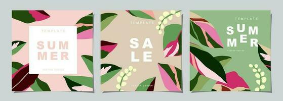 Summer template set for poster, card, cover, label, banner in modern minimalist style and simple summer design templates with tropical leaves, flower, and plants. vector