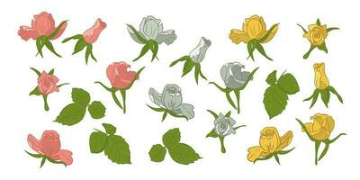 Set of hand drawn flat roses blooming heads. Vector isolated rose, yellow and white flowers with leaves on white background. Perfect for stickers, tatoo, pattern, background, wrapping paper