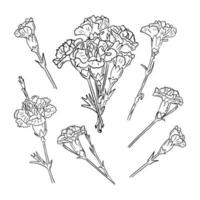 Set of hand drawn sketch cloves. Unique vector outline doodle illustration. Black flowers and bouquet isolated on white background. Perfect for coloring pages, tatoo, background, wrapping paper