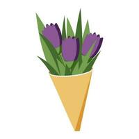 Bouquet of three beautiful purple tulips in paper wrapping, isolated on white background for postcard decoration. Congratulatory spring print for women on March 8. Vector. vector