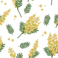 Acacia twigs with yellow flowers on a white background. Spring seamless pattern with mimosa plant for textiles, wrapping paper, decorative pillows. Vector. vector