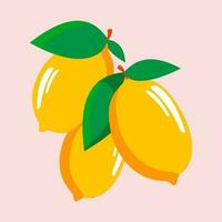 Three yellow ripe lemons with leaves. Cute yellow citrus fruits on a gentle pink background in a flat style. Vector. vector