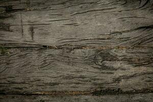 nature wood background or timber wood background photo