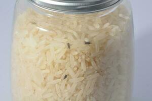 rice weevil control and treatments for the home and kitchen photo