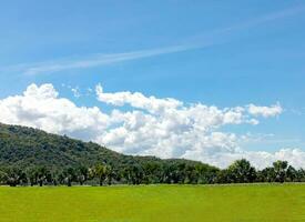 cumulonimbo, hinchado blanco nubes en el azul cielo foto