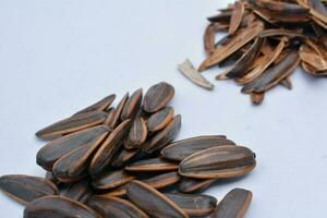 Sunflower seeds and shell after eating, isolate, white background photo
