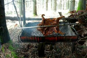 Whole roast suckling pig in the forest photo