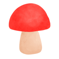 cogumelo, desenho animado, fungo png