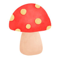 mushroom, cartoon, fungus png