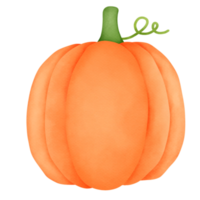 pumpa vattenfärg vegetabiliska png