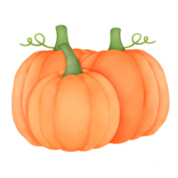 Pumpkin watercolor vegetable png