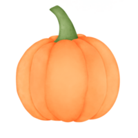 pumpa vattenfärg vegetabiliska png